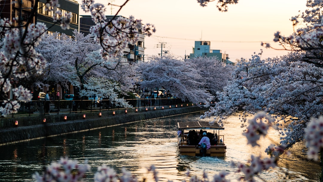 Kyoto on Points: Best Hotels and Getting There for Cherry Blossom Season